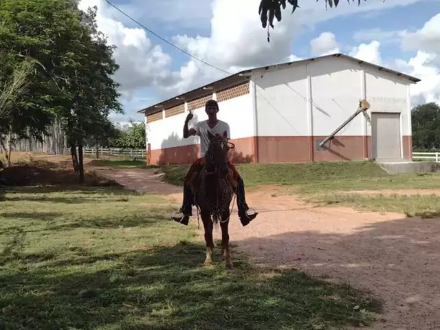 Trabalhador rural morre após ser atropelado por trator em fazenda de Goiás, Goiás