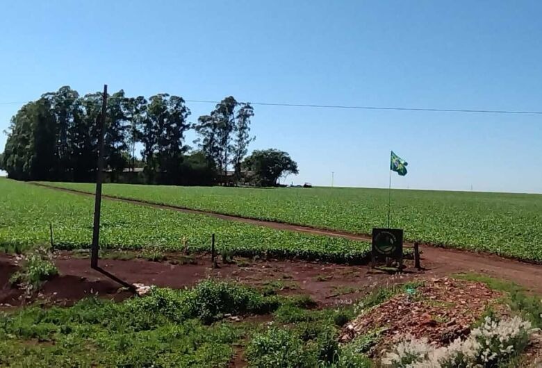 Foto: Reprodução/Dourados News