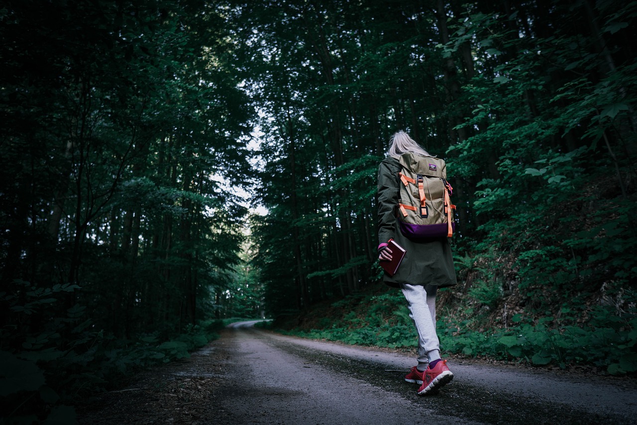 Imagem de Michal Renčo por Pixabay