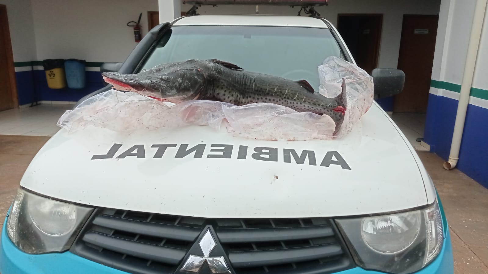 Foto: Divulgação PMA