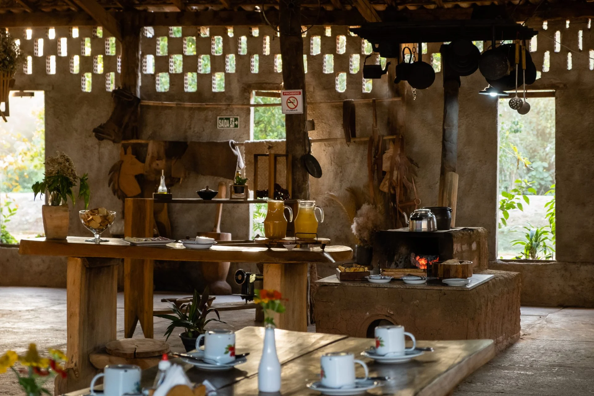 Foto: Reprodução/Elis Regina Nogueira