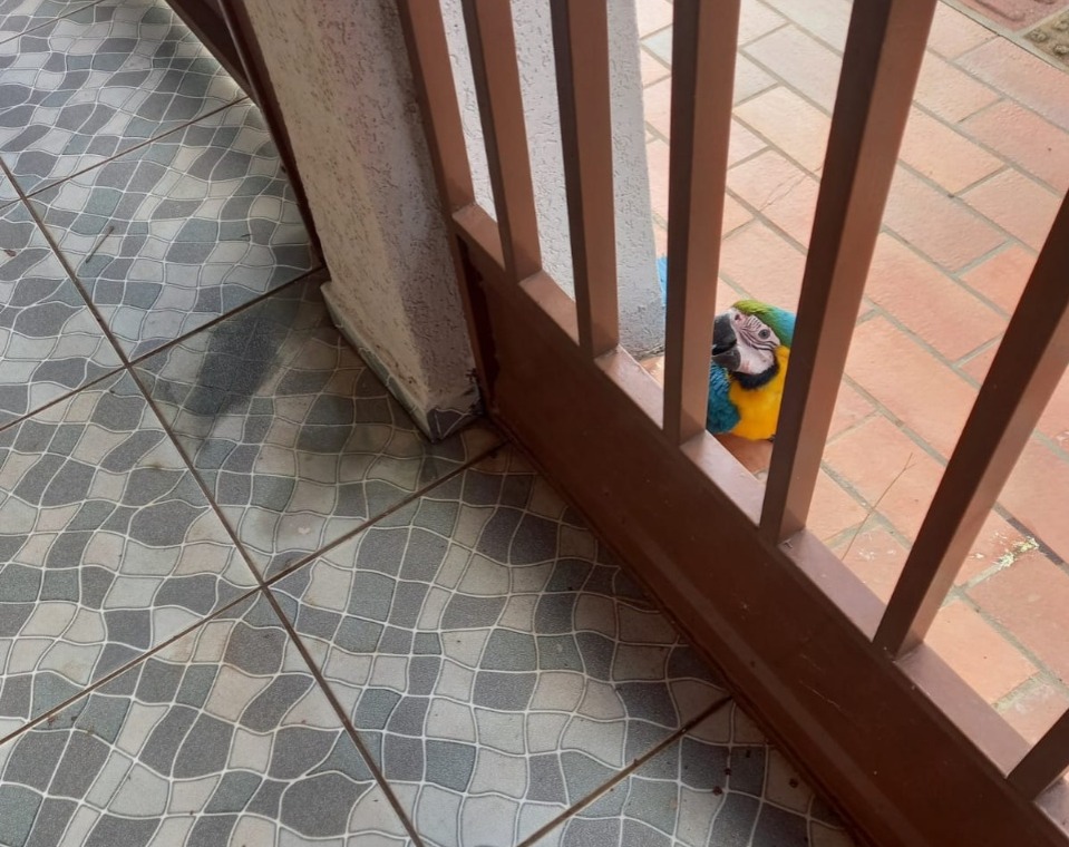 Foto: Chama a Imprensa