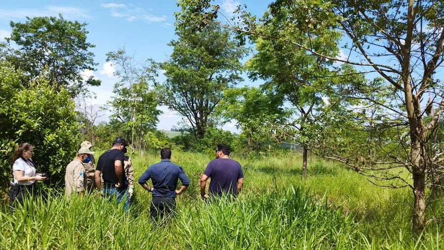 Foto: Reprodução/Dourados News