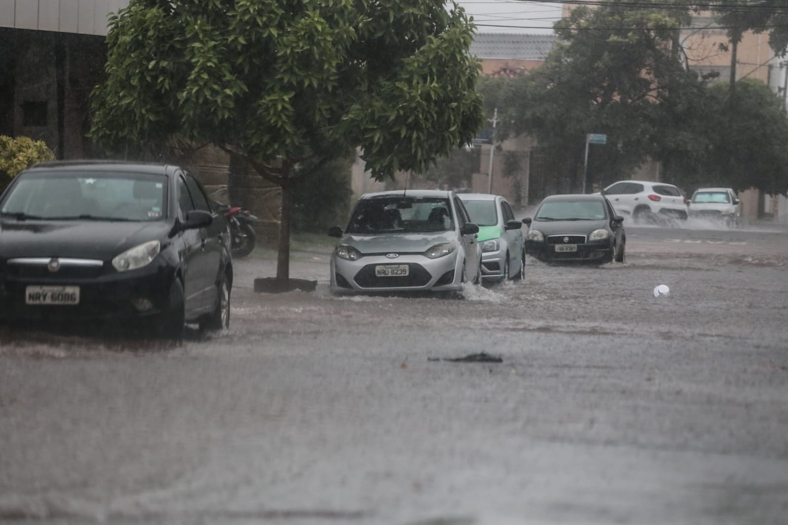 Inmet Coloca Todo MS Em Alerta Para Chuvas Intensas Com Ventos De Até ...