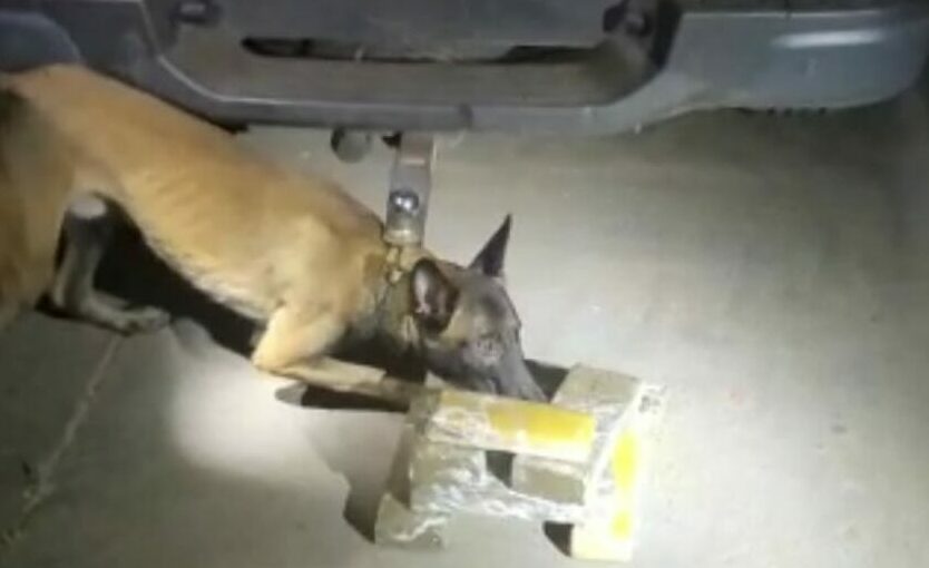 Divulgação/ BChoque