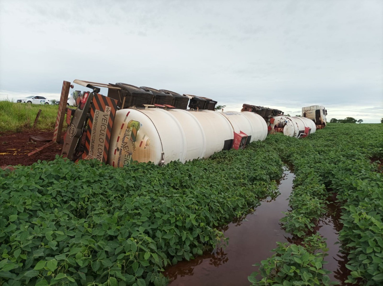 Foto: divulgação PMA