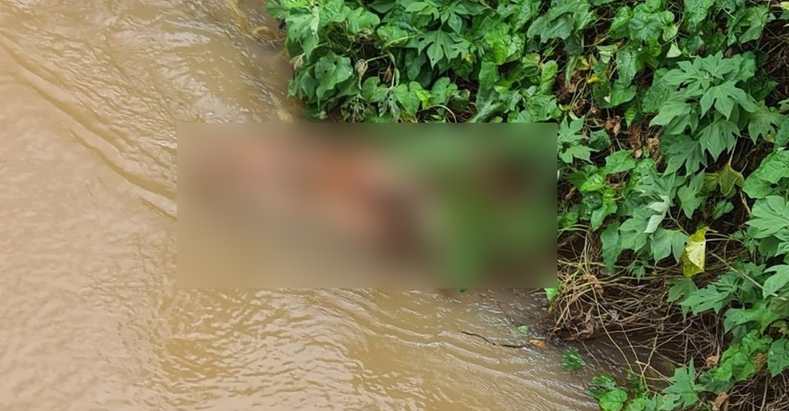 Durante pescaria, família encontra corpo de idoso boiando em córrego de Sonora