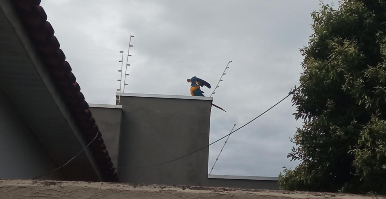 Foto: divulgação PMA