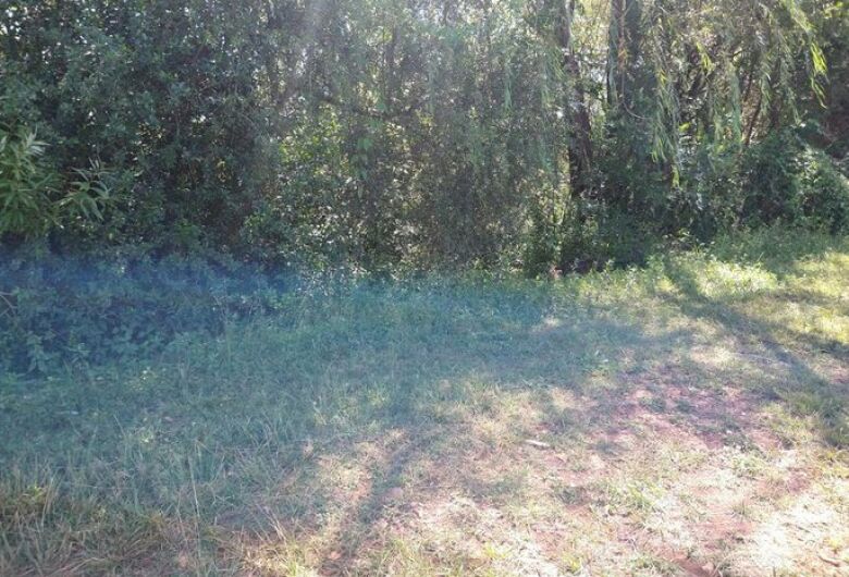 Corpo foi encontrado um dia após o crime
Foto: reprodução PCRS