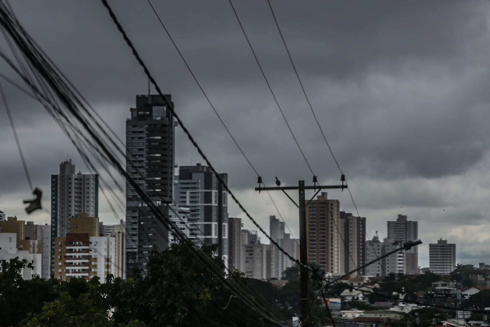 Foto: Marcos Maluf/O Estado Online