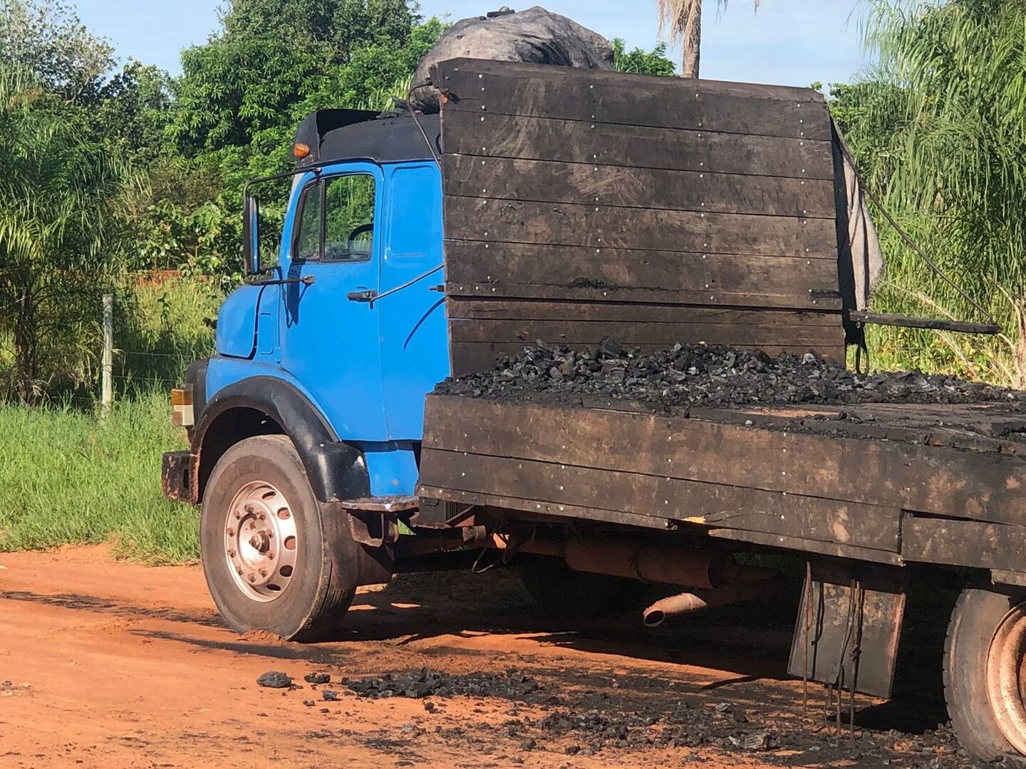Foto: Reprodução/O Pantaneiro