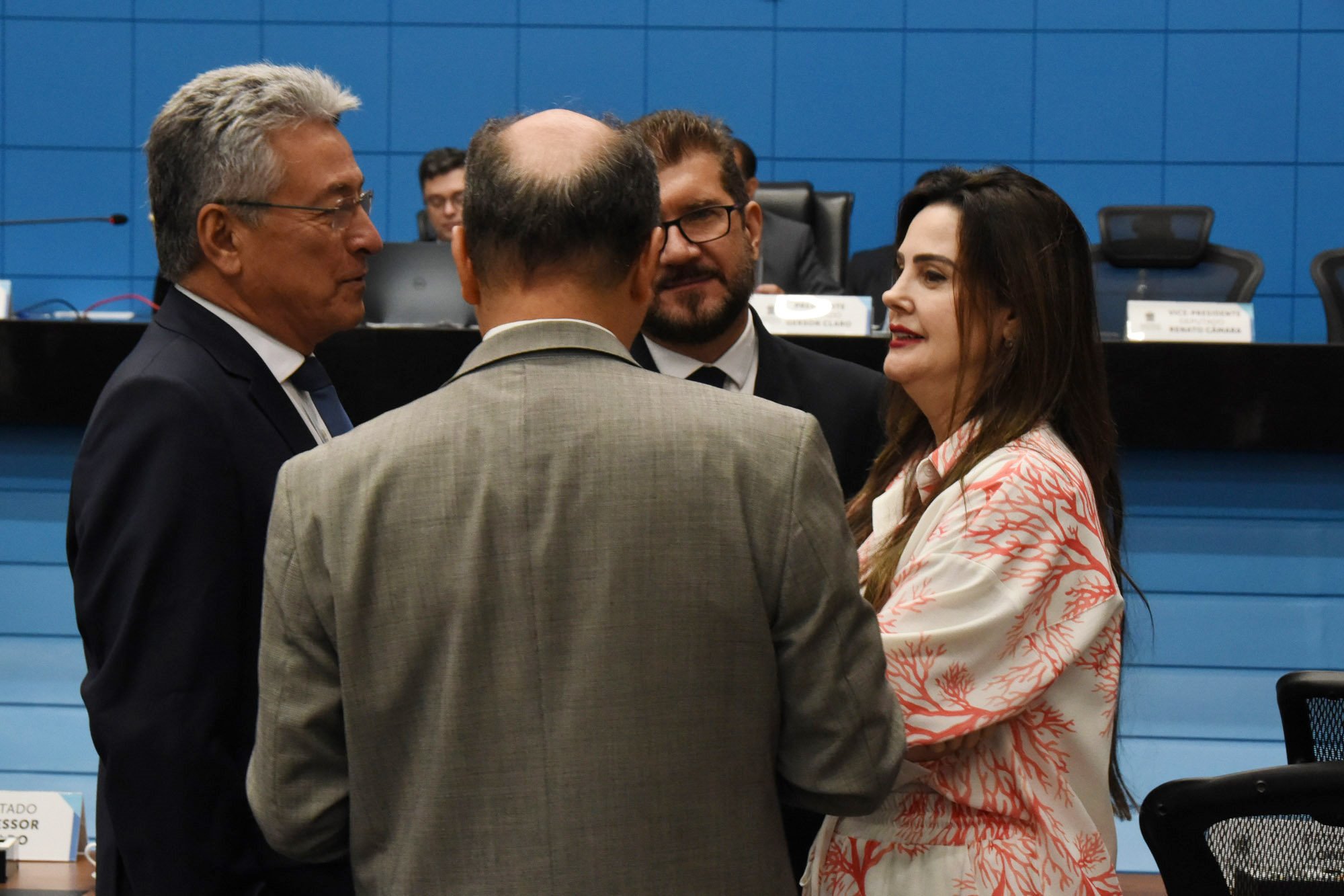 deputados alems luciana nassar