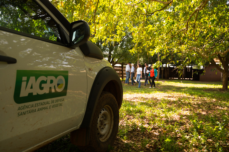 Foto: Divulgação/Iagro