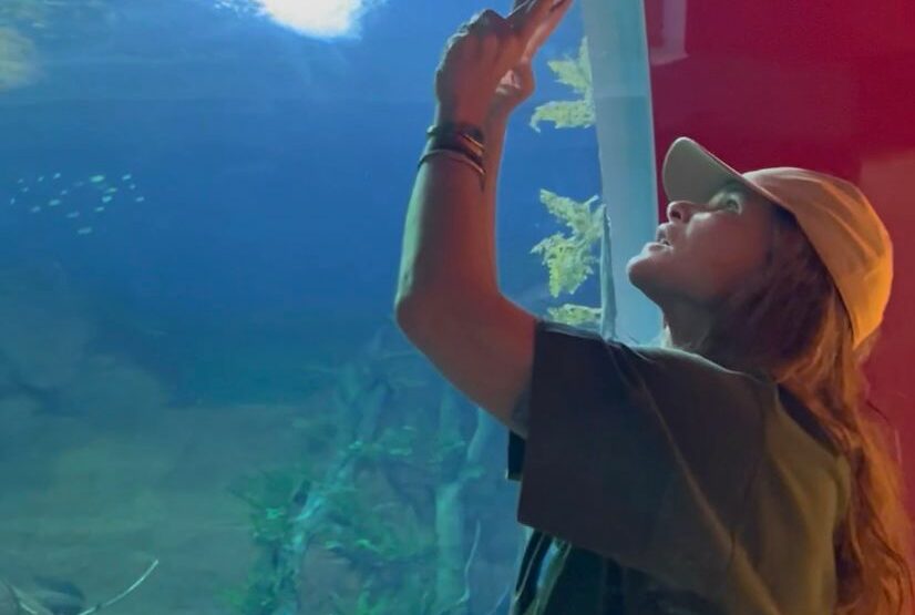 Foto: Divulgação/Portal MS