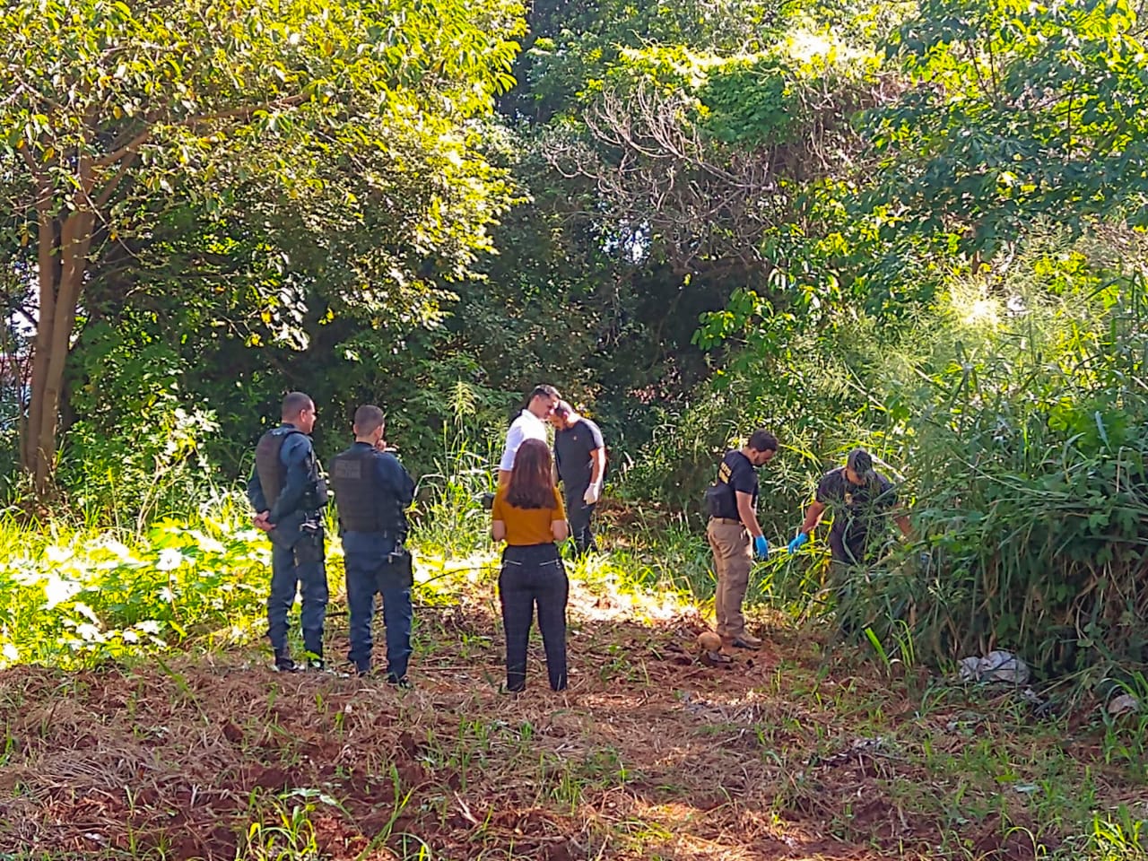 Foto; Marcos Maluf/O Estado Online