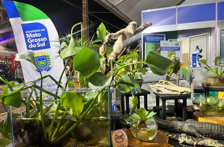 bioparque-expo-730x480