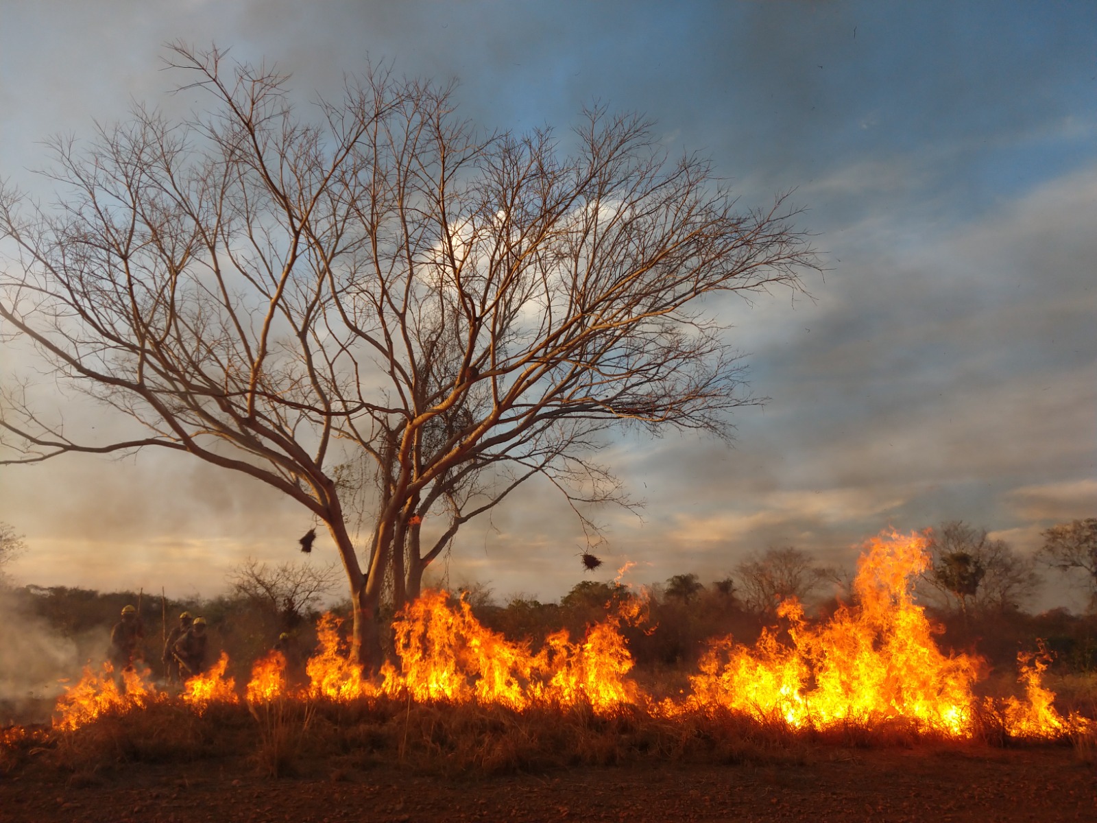 Temporada de incêndios: Governo de MS prorroga emergência ambiental até 30 de novembro