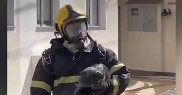 Reprodução/Redes Sociais