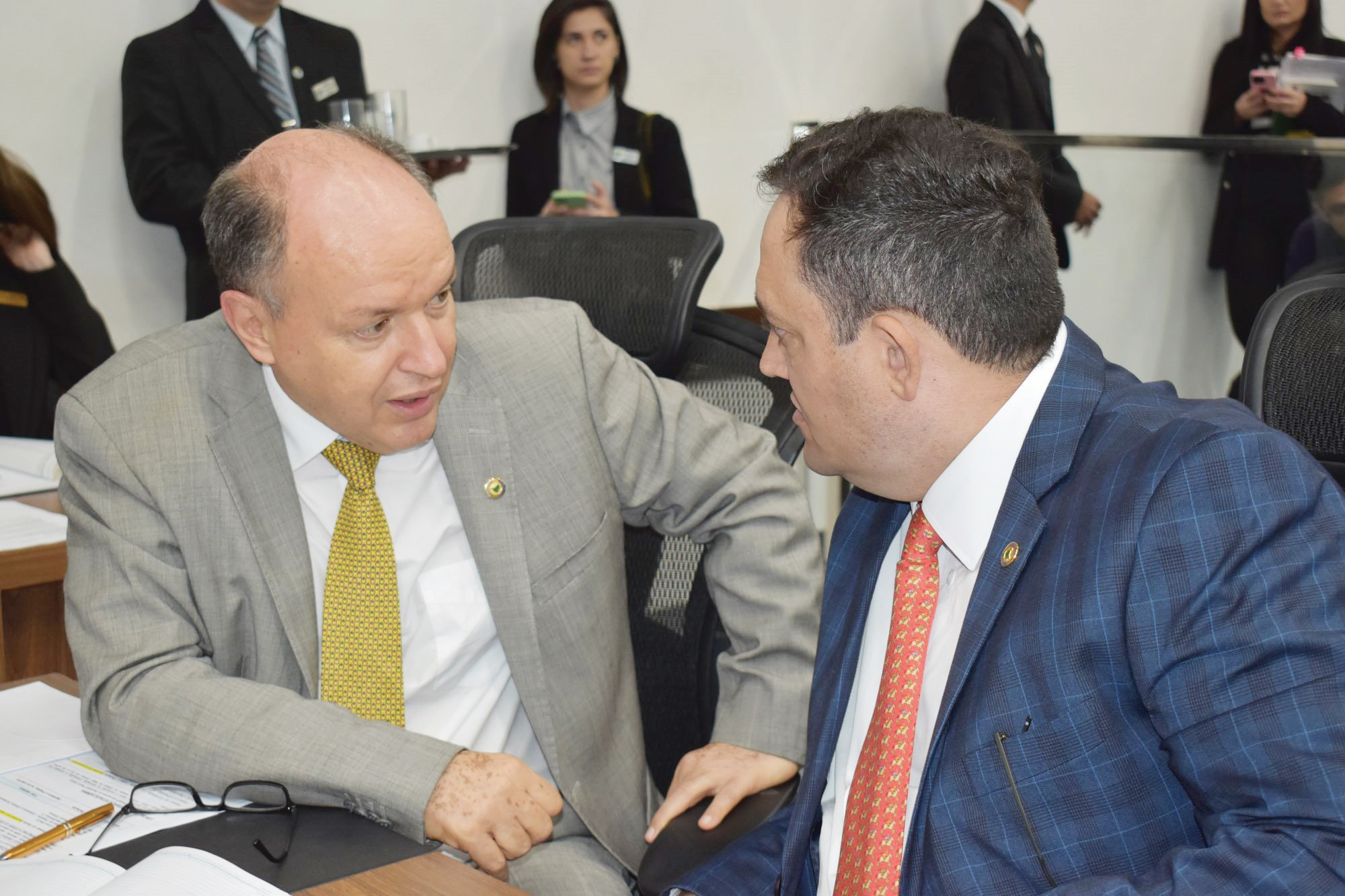 Luciana Nassar/ Alems