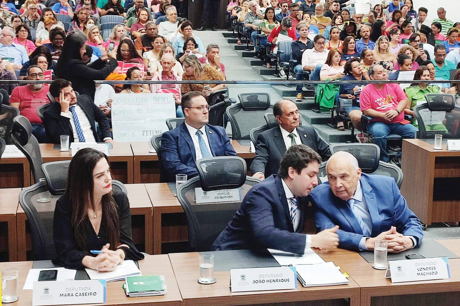 Luciana Nassar/ Alems