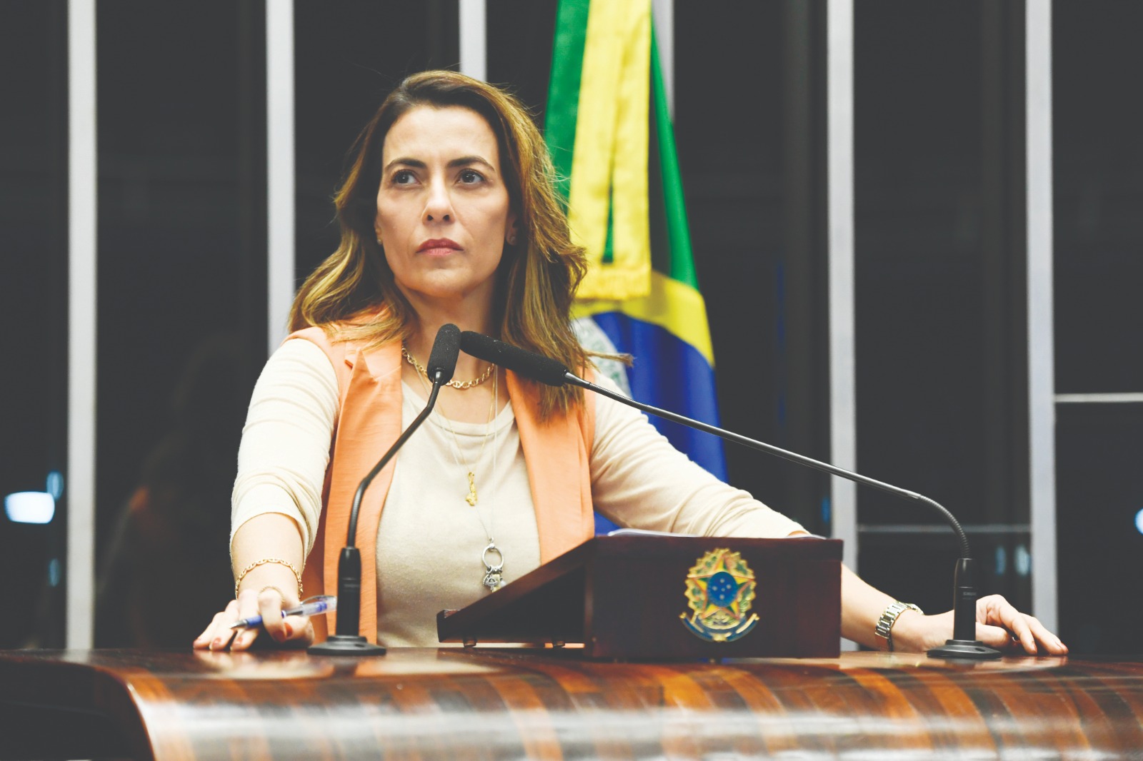Jefferson Rudy/Agência Senado