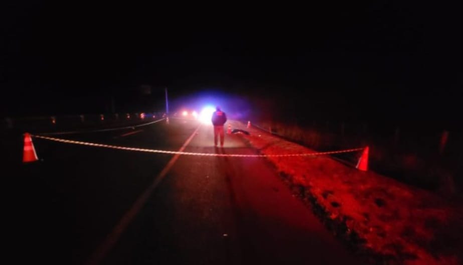 Foto: Olimar Gamarra/ Porã News