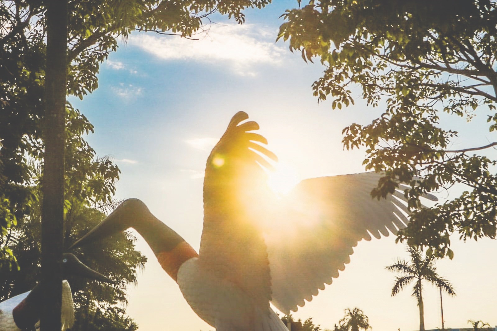 Domingo é de Sol e tempo firme em MS