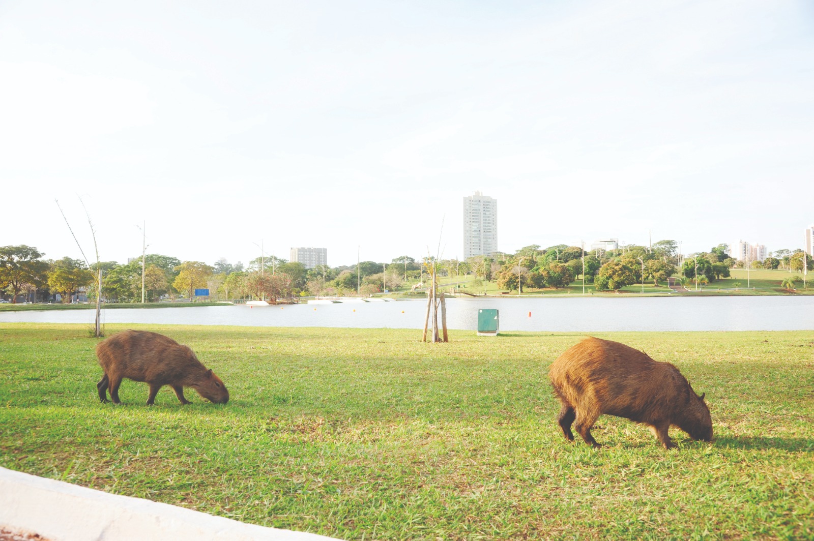 Fotos: Nilson Figueiredo