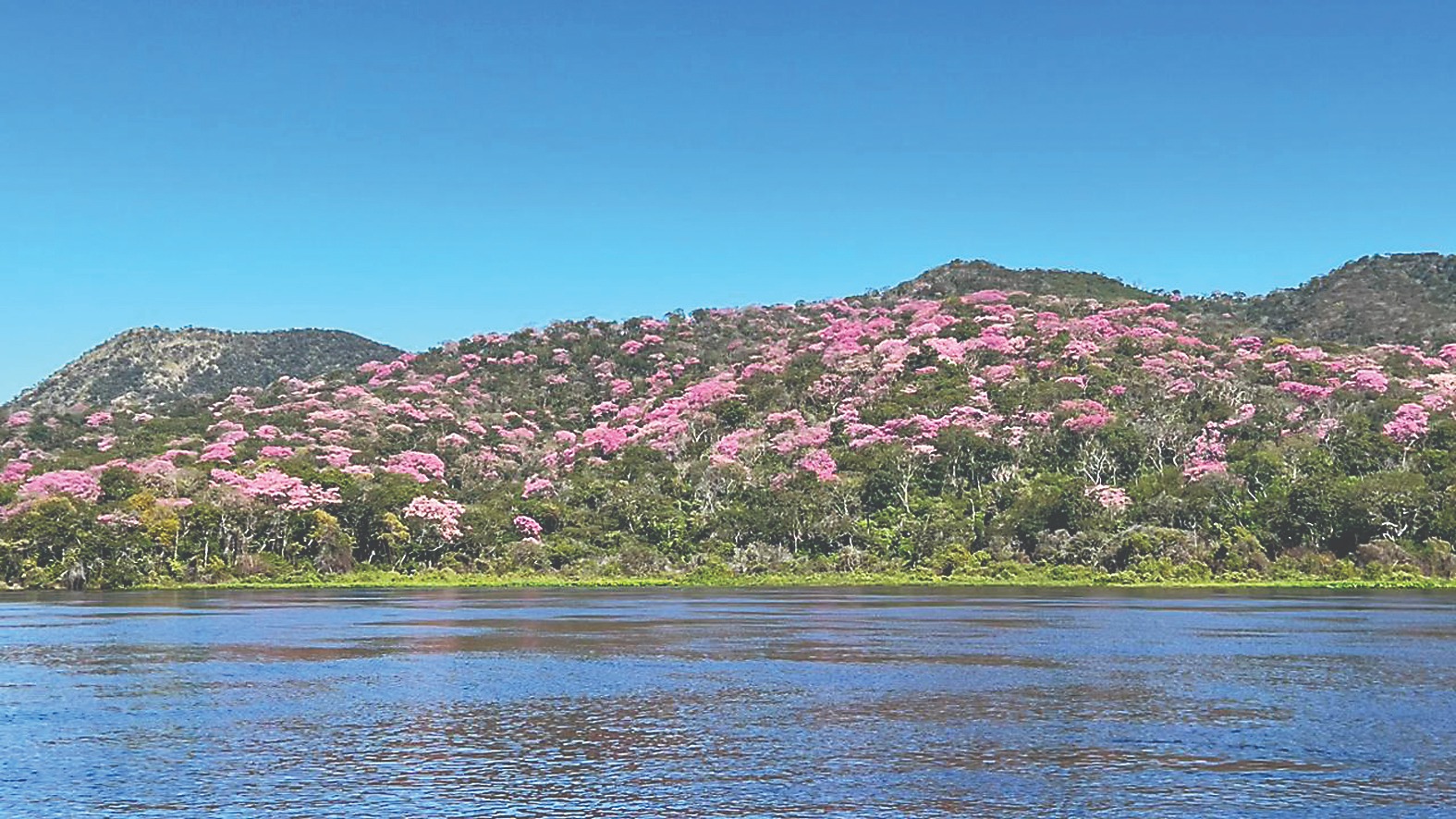 Fotos: Ângelo Rabelo