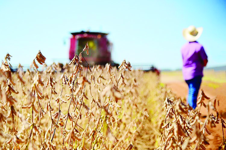 João Carlos Castro/Sistema Famasul