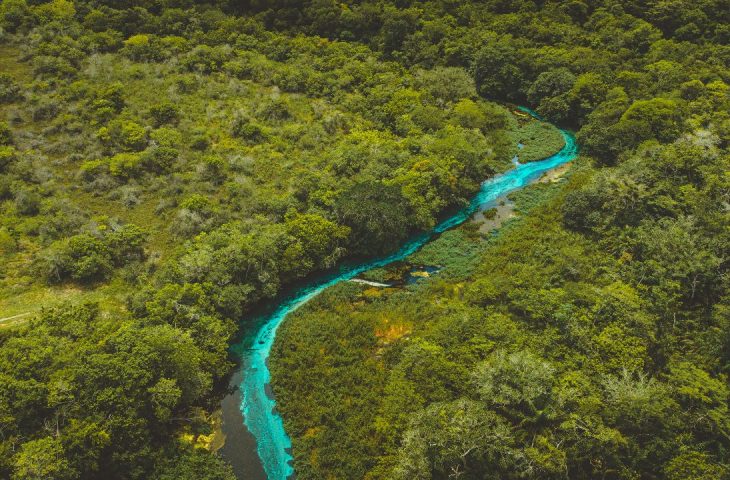 desmatamento-2807-730x480