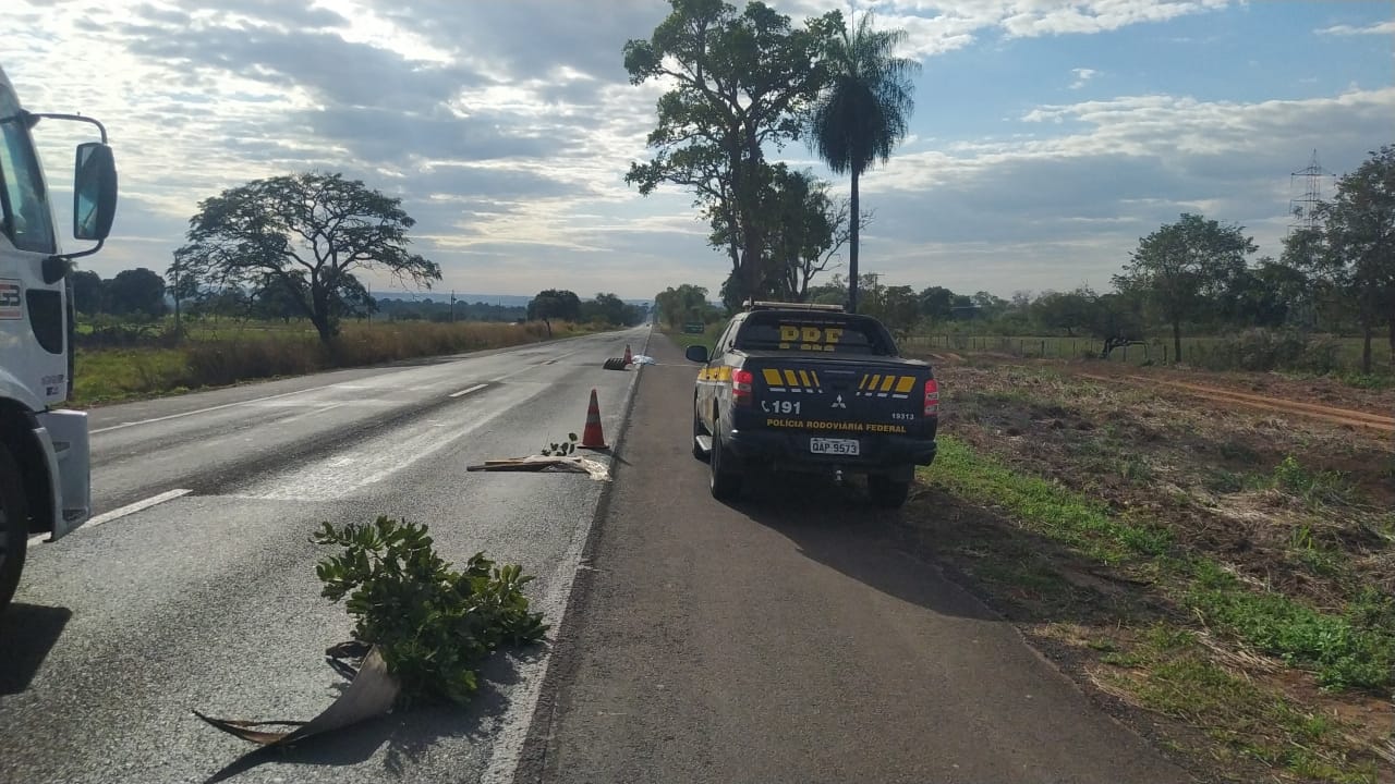 Fotos/; Divulgação- O Pantaneiro