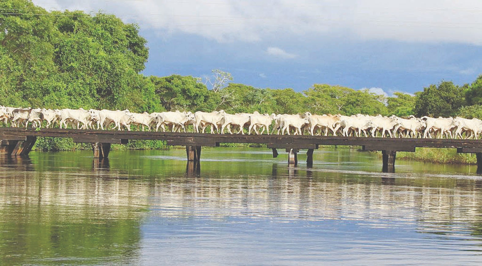 WhatsApp Image 2023-08-14 at 09.12.15