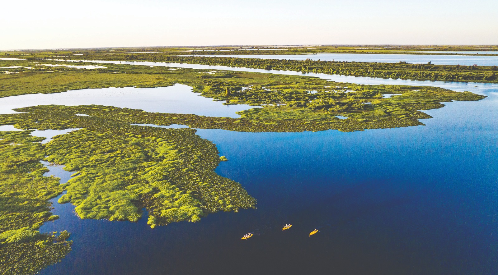 Foto:Novas regras devem
ser anunciadas em até
60 dias e levadas à
Assembleia Legislativa/Saul Schramm