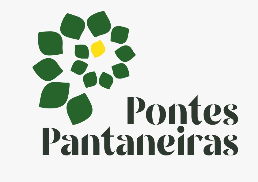 pontes pantanal