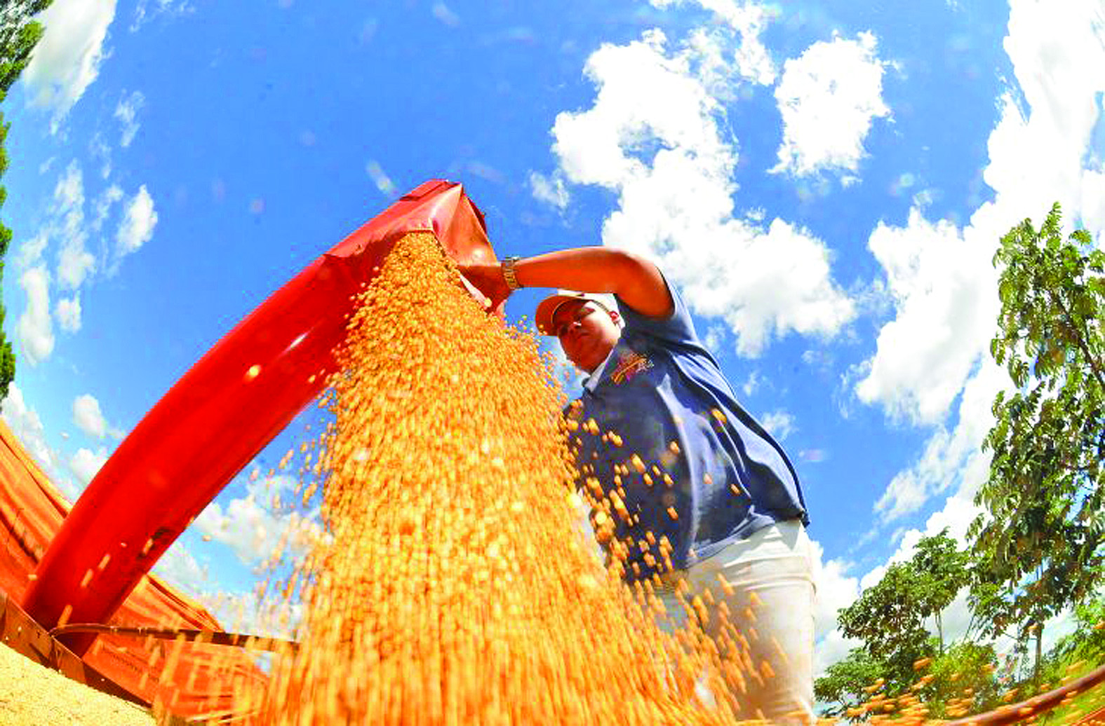 Fotos: Álvaro Rezende