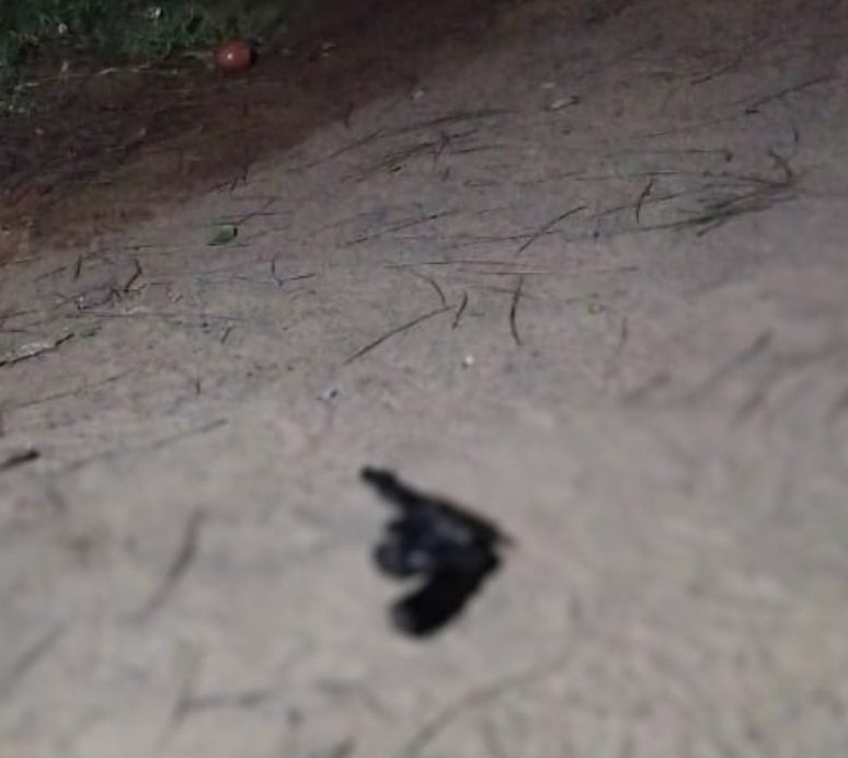 Divulgação/ Polícia Militar