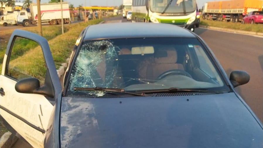 Foto: Elenize Oliveira/ Cenário MS