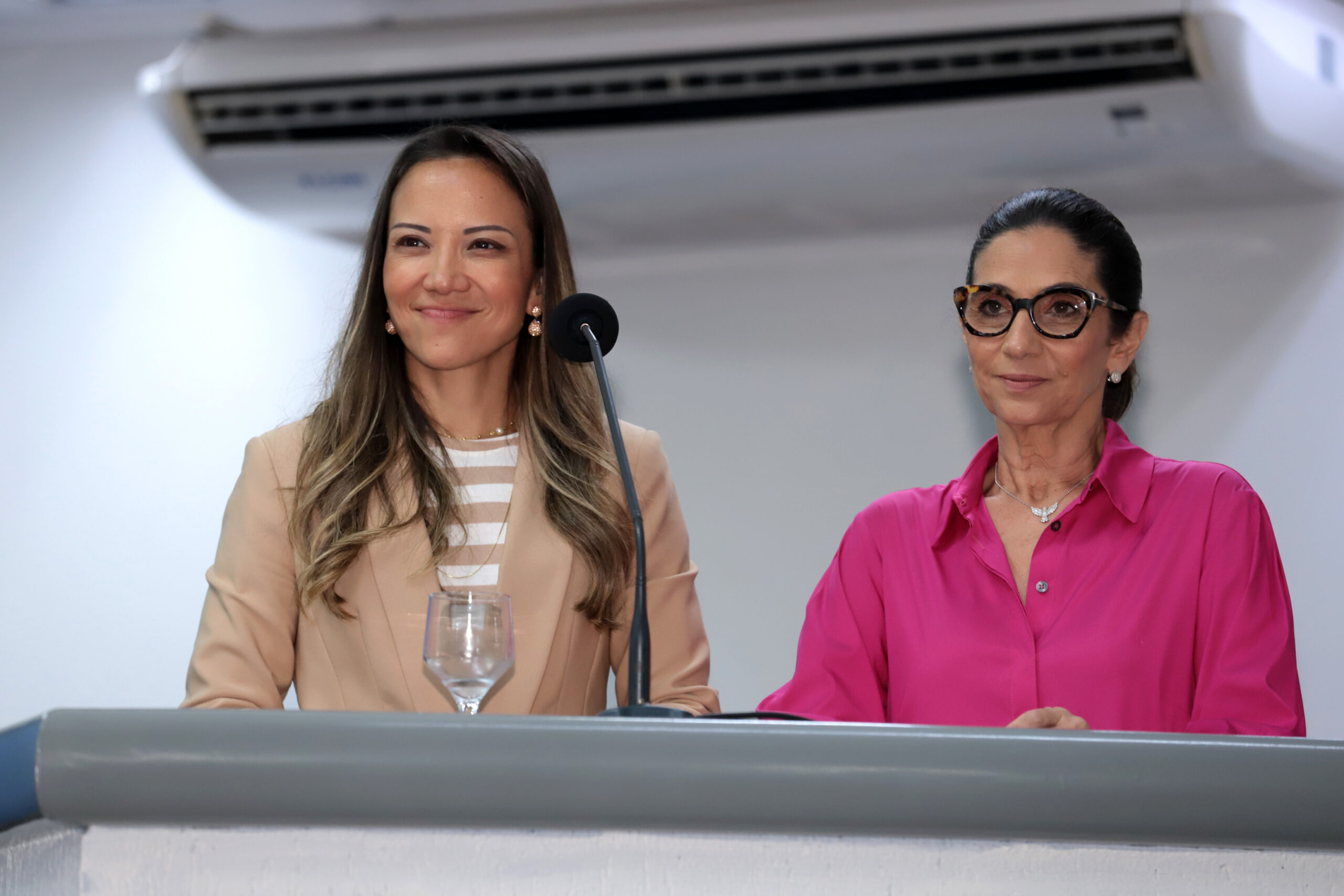 Divulgação/ Câmara Municipal