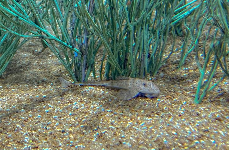 Foto: Foto: Gabriela Almeida e Eduardo Coutinho