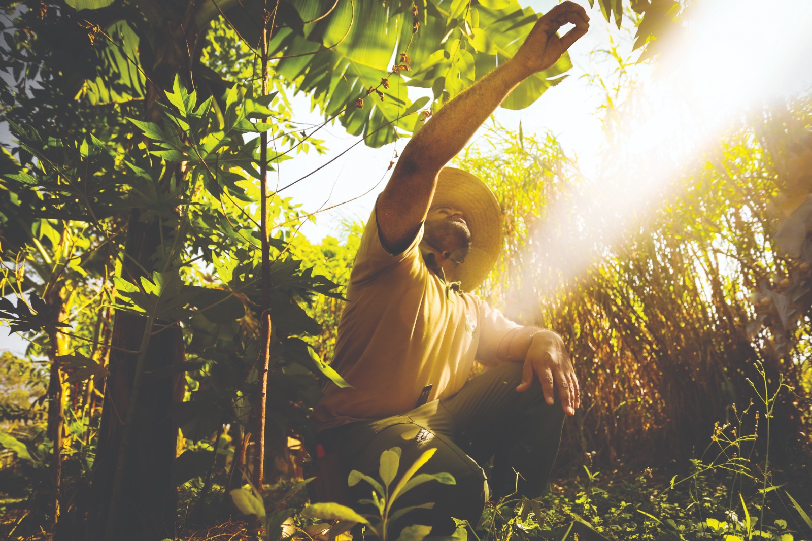 Estratificação é a ‘arte de
colher o sol’. Foto: Marcos Maluf
