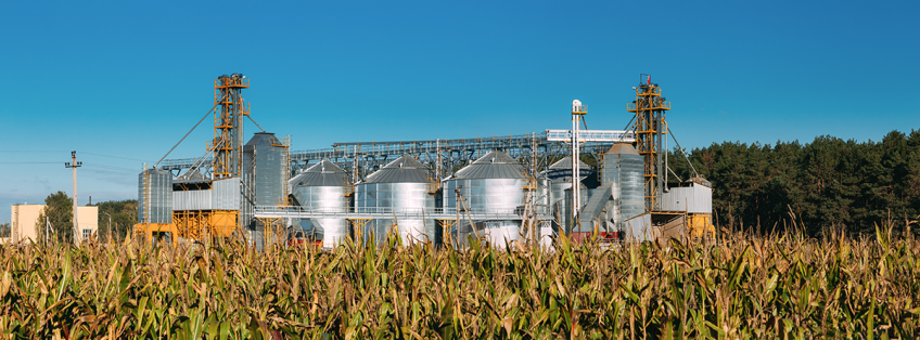 Crescimento da produção exigem construção de mais armazéns