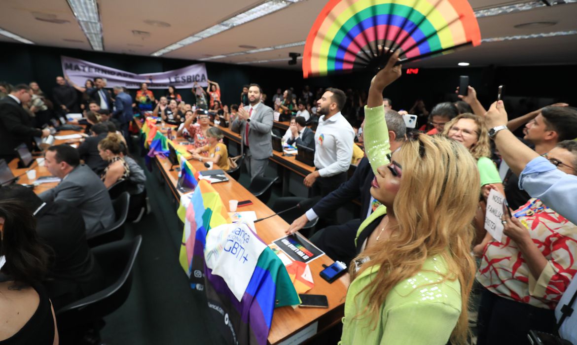 Foto: A Comissão de Previdência, Assistência Social, Infância, Adolescência e Família durante votação do projeto sobre o contrato civil de união homoafetiva/ Lula Marques -  Agência Brasil