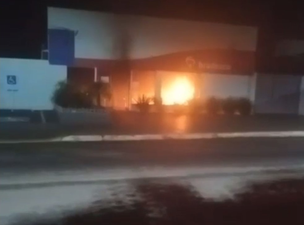 Reprodução/ Terenense News