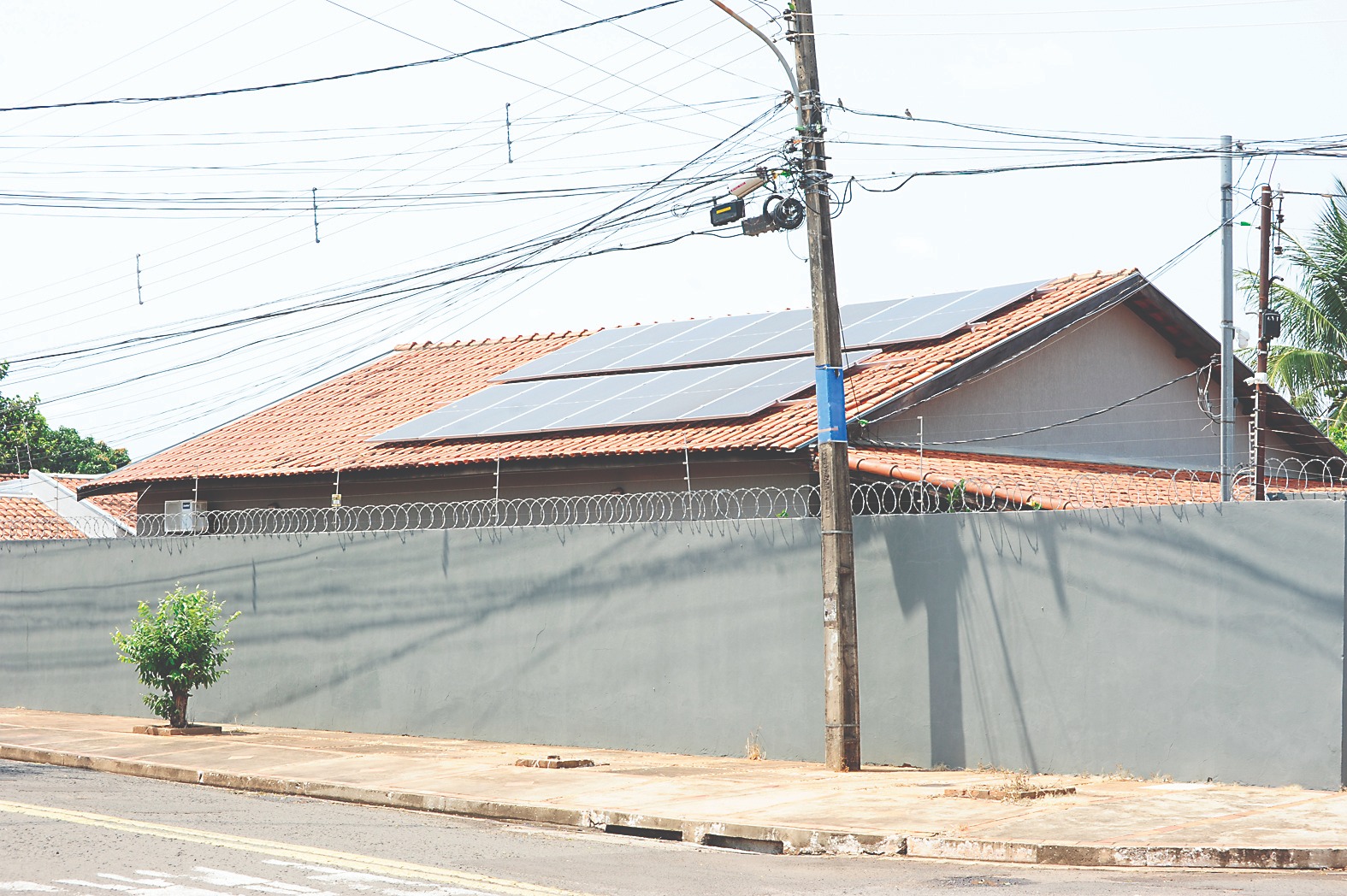 Fotos: Nilson Figueiredo