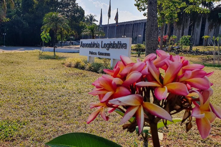 A Frente Parlamentar em Defesa do Conservadorismo terá a coordenação do deputado João Henrique.|Foto: Aline Kraemer/ALEMS