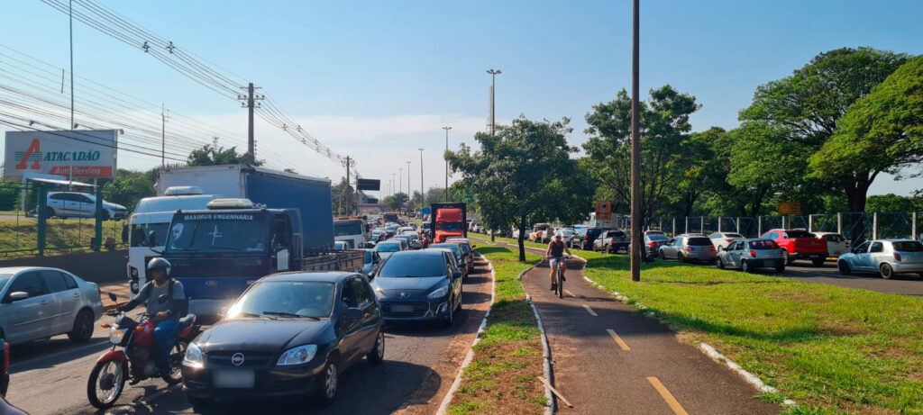 Motorista flagra bando de araras em 'café da manhã' durante horário de pico  em rua de Campo Grande; veja vídeo, Mato Grosso do Sul
