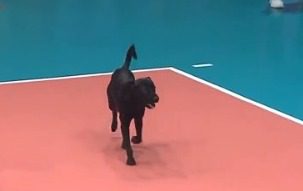 Seleção brasileira venceu o Peru na partida em questão e joga final do Sul-Americano contra Argentina.|Foto:Reprodução/Redes Sociais