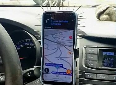 Especialistas não recomendam por risco de ferimentos e acidentes.|Foto: Reprodução/Primeiro Impacto, SBT News