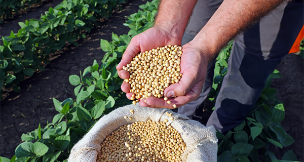 O faturamento do agronegócio de Mato Grosso do Sul